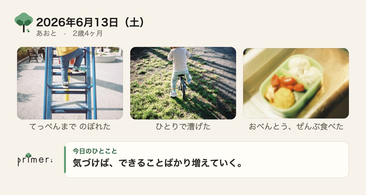 思い出カード。公園で遊ぶ写真とお弁当の写真、今日のひとことが1枚にまとまっている